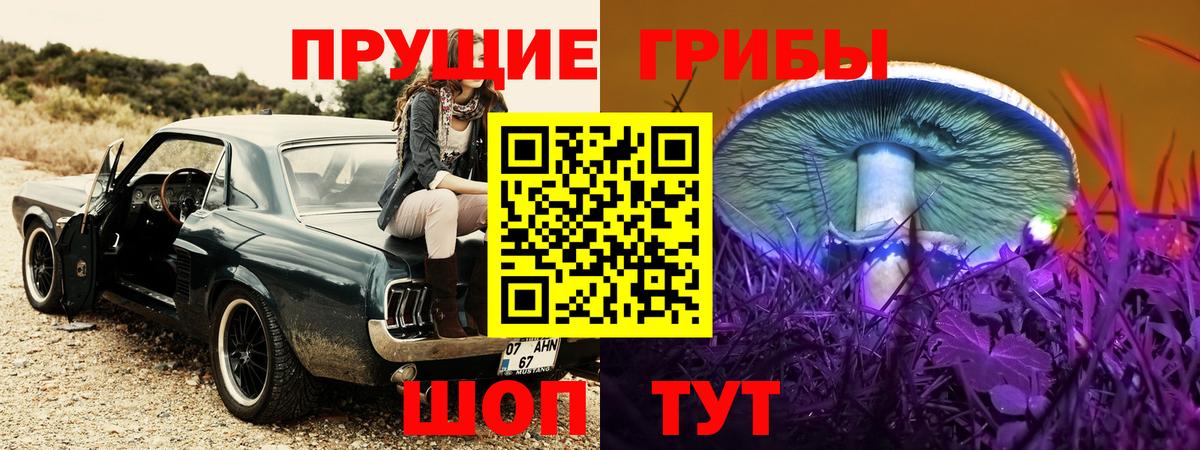 Псилоцибиновые грибы Cubensis Усть-Джегута
