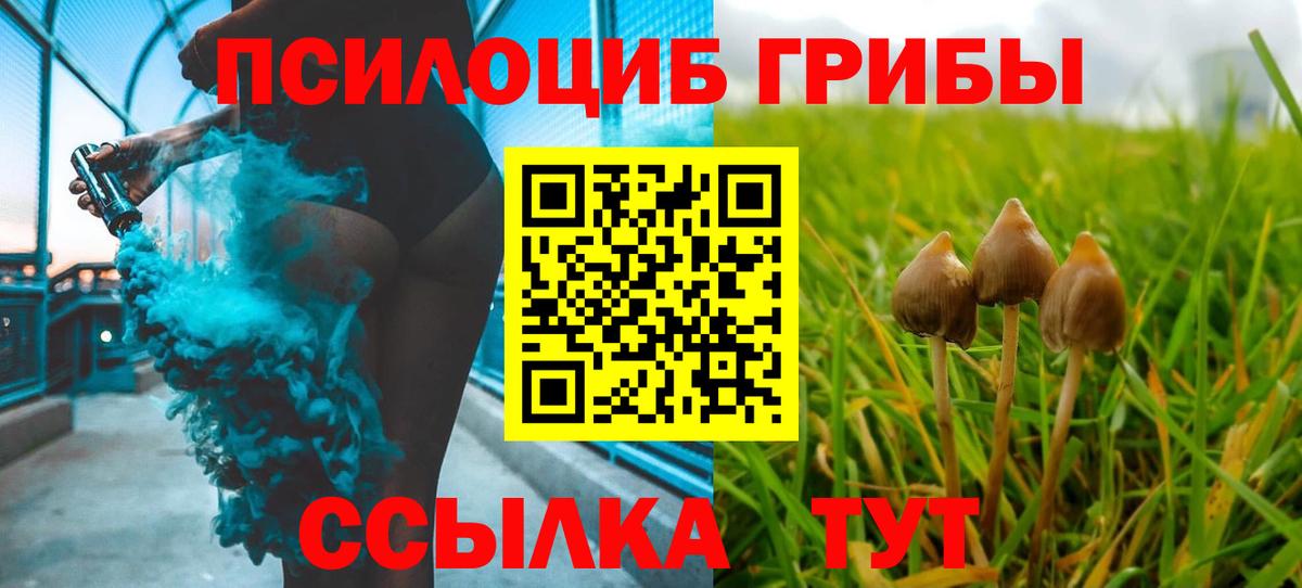 Псилоцибиновые грибы ЛСД  Вход с VPN  Усть-Джегута  Псилоцибиновые грибы Psilocybine cubensis 